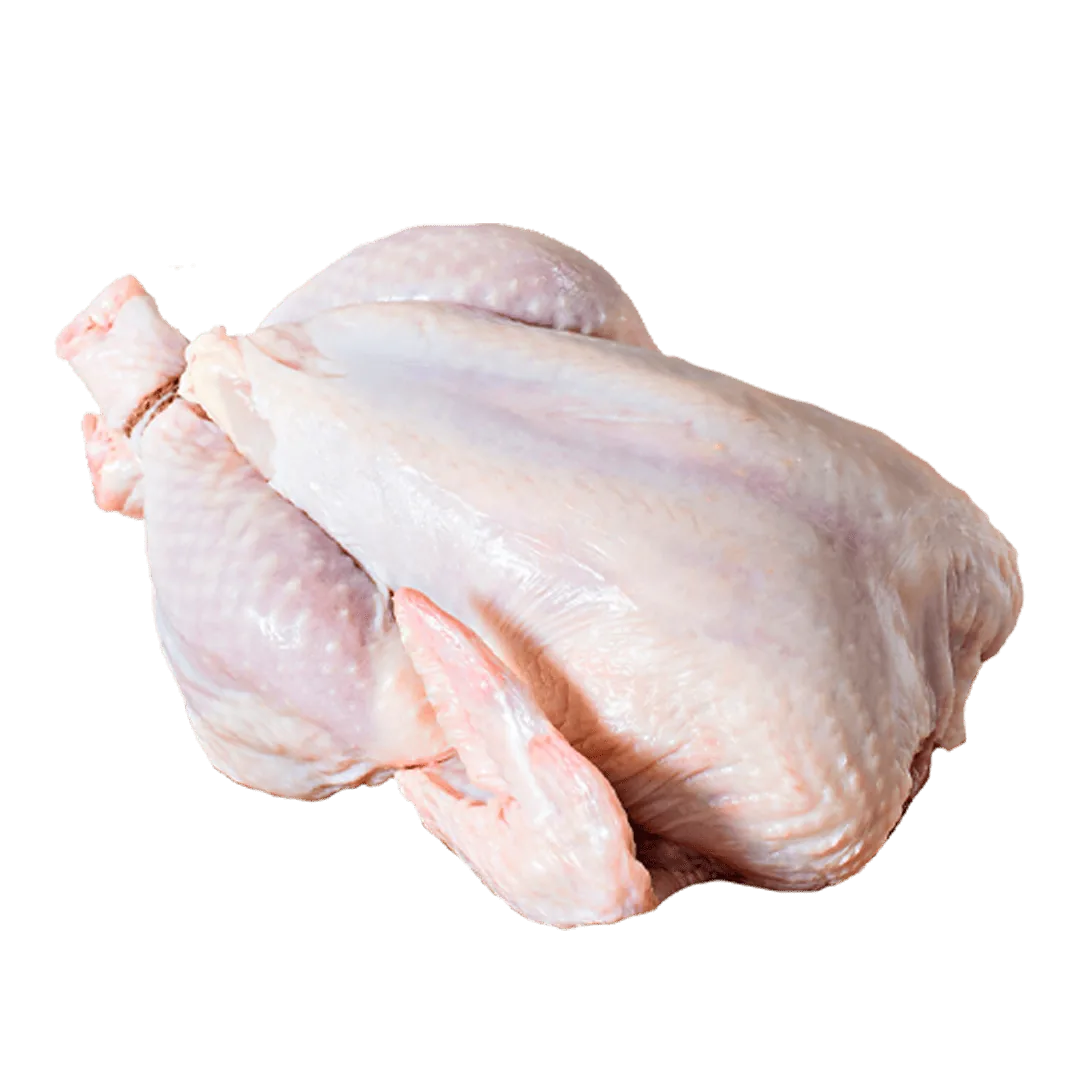 Gallina