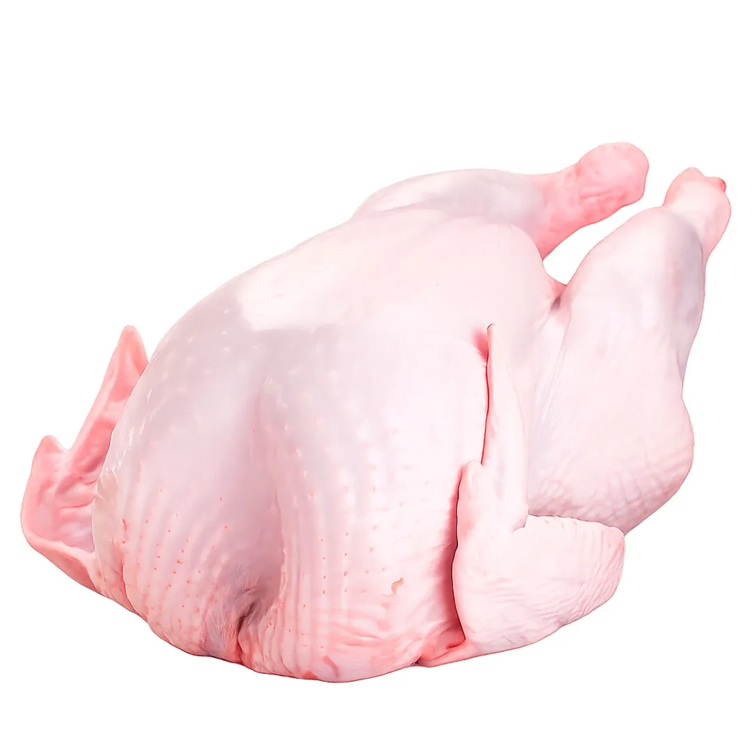 Pavo